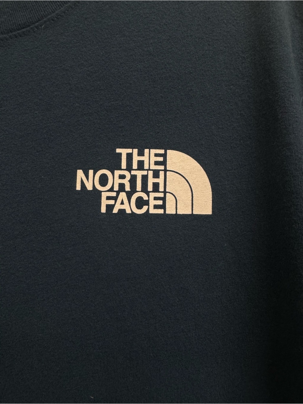 The North Face Tee View 5